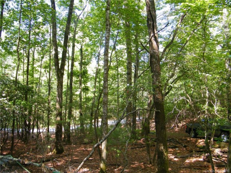 Property image 5 at 46 Kentwood Lane, Pisgah Forest, NC 28768