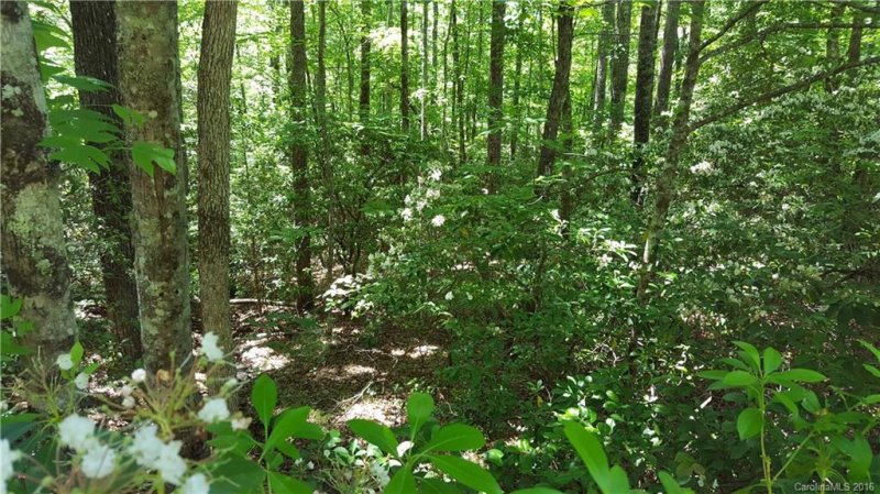 21 Sequoyah Woods Drive