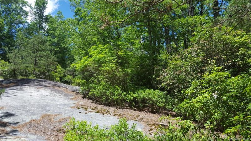 16 Sequoyah Woods Drive