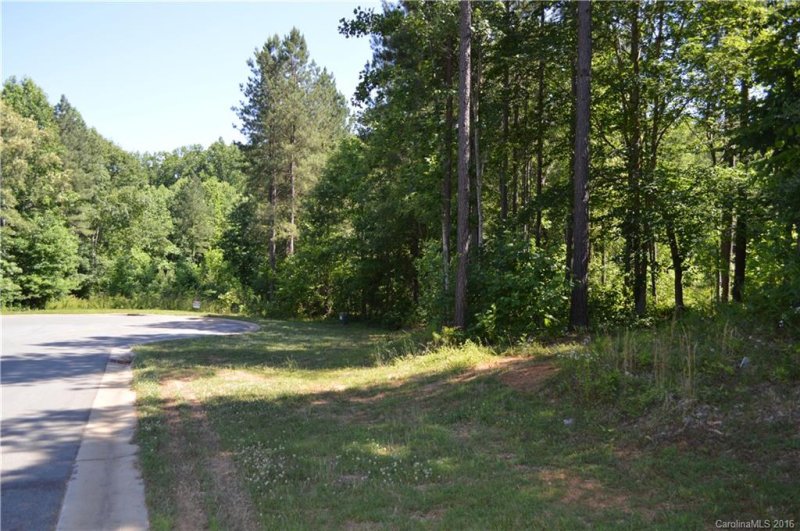 Property image 3 at 19 Windy Ridge Drive, Iron Station, NC 28080