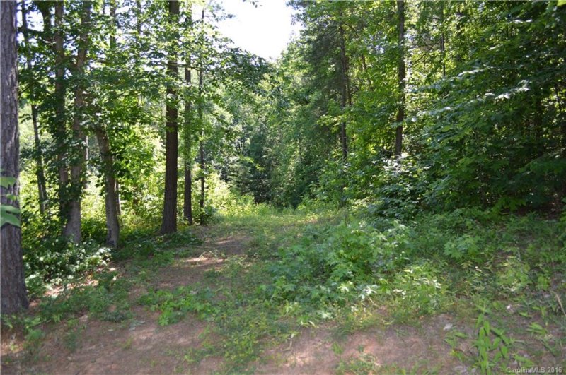 Property image 4 at 19 Windy Ridge Drive, Iron Station, NC 28080