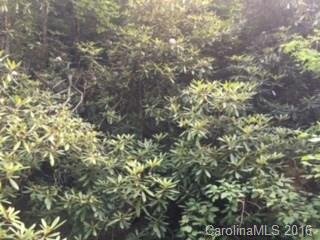 Property image 4 at Tbd Miller Cove Road, Black Mountain, NC 28730
