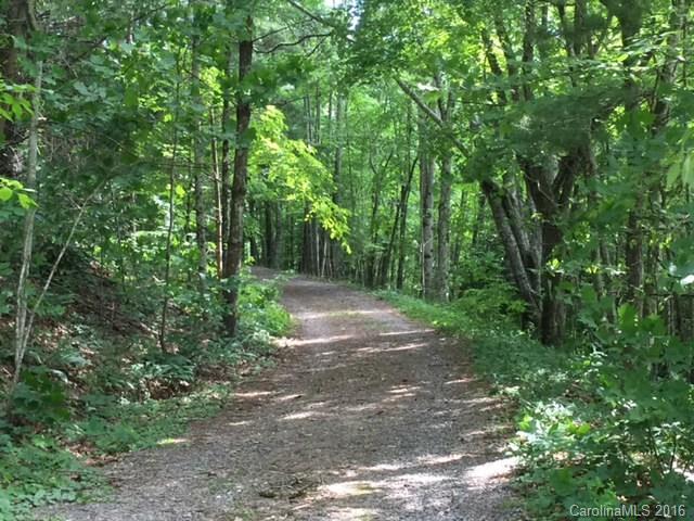 Property image 3 at 833 Hidden Valley Road, Clyde, NC 28721