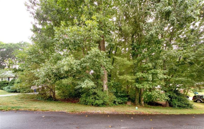 Property image 4 at 20 Forestdale Drive, Asheville, NC 28803