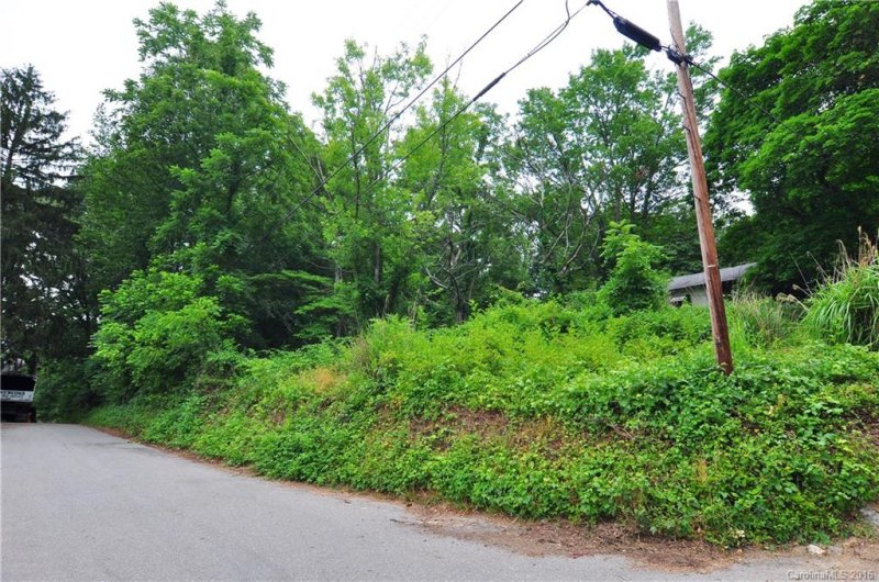 Property image 2 at 719 Center Street, Asheville, NC 28803