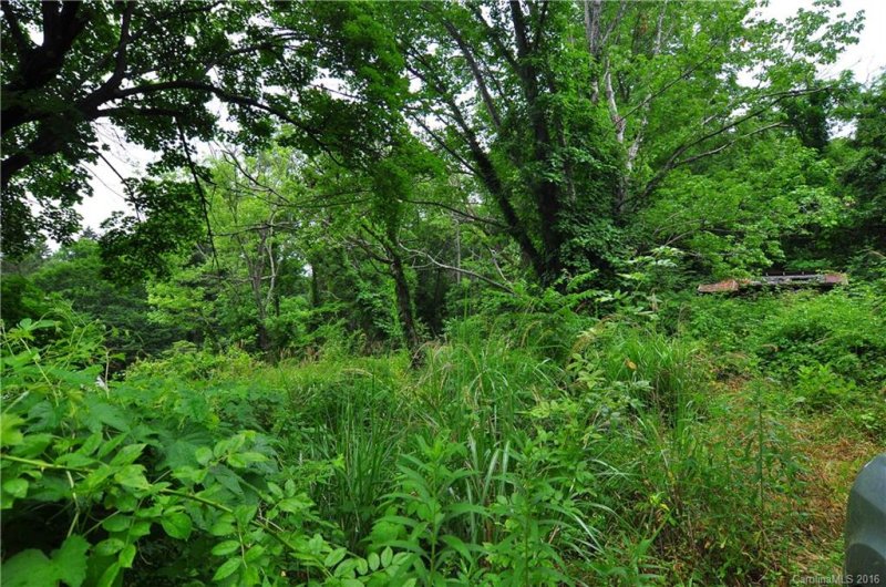 Property image 5 at 719 Center Street, Asheville, NC 28803