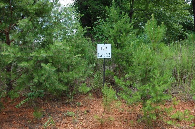 Property image 3 at Lot 13 Easy Street, Lake Lure, NC 28746