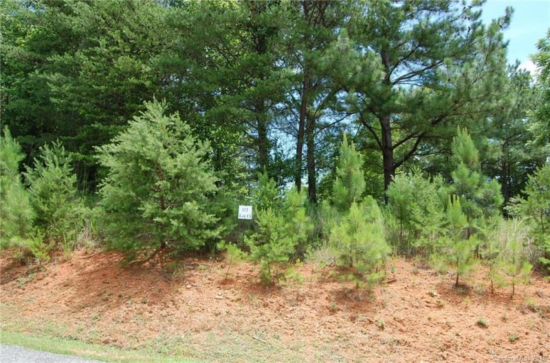 Property image 4 at Lot 13 Easy Street, Lake Lure, NC 28746