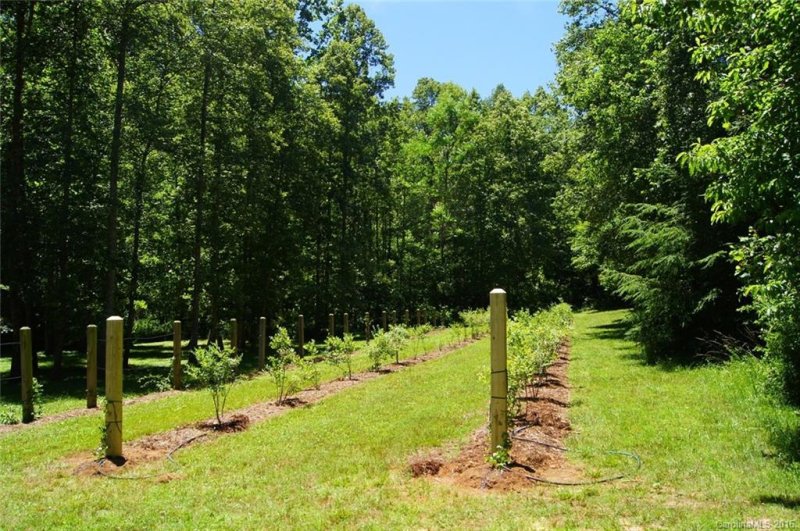 Property image 5 at 8 Winterle Road, Lake Lure, NC 28746