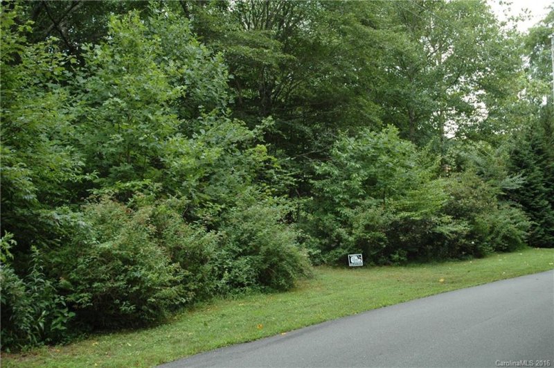 Property image 4 at 000 Sweetwater Ridge, Burnsville, NC 28714