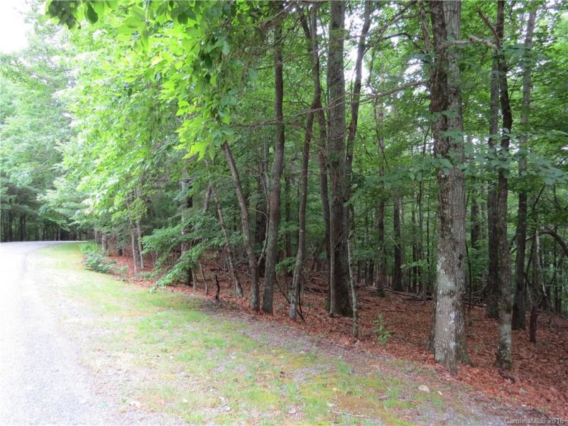 Property image 5 at L 26 Spanish Oak Drive, Cedar Mountain, NC 28718