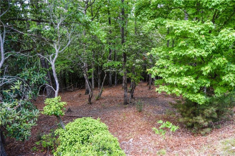 262 Shining Rock Path