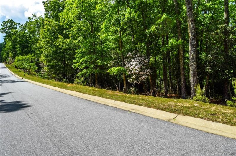 Property image 2 at 262 Shining Rock Path, Mills River, NC 28742