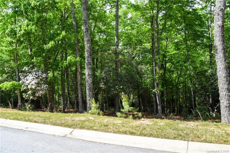 Property image 3 at 262 Shining Rock Path, Mills River, NC 28742