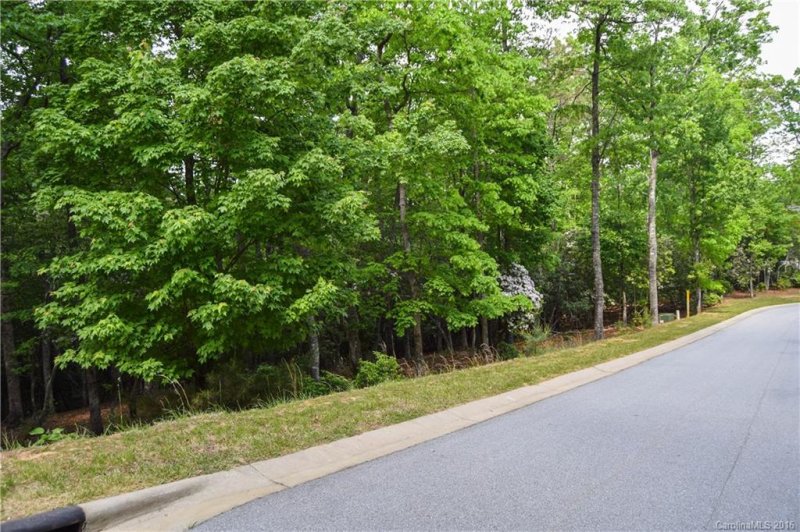 Property image 4 at 262 Shining Rock Path, Mills River, NC 28742