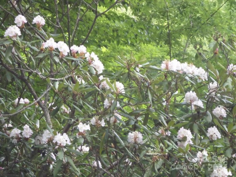 Property image 2 at 114 Tenderfoot Trail, Maggie Valley, NC 28751