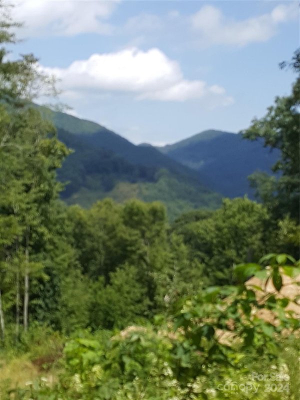 Property image 4 at 114 Tenderfoot Trail, Maggie Valley, NC 28751