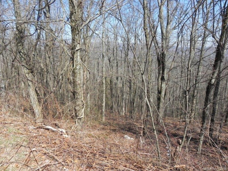 Property image 2 at Lot 339 Ebby Ridge None, Fairview, NC 28730