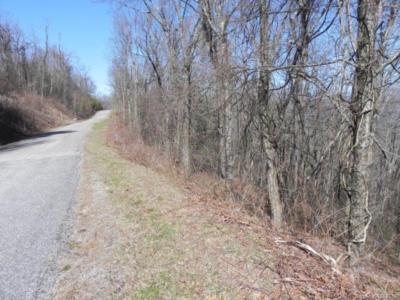 Property image 3 at Lot 339 Ebby Ridge None, Fairview, NC 28730