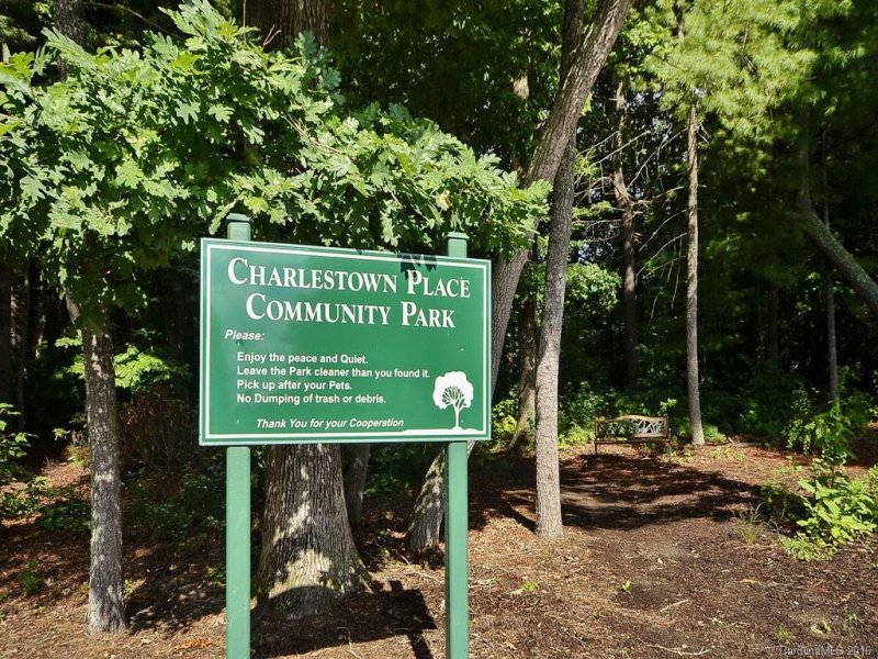 Property image 3 at 229 Charlestown Drive, Hendersonville, NC 28792