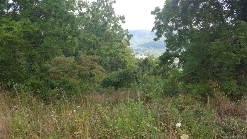 Property image 2 at 58 Longstreet Court, Weaverville, NC 28787