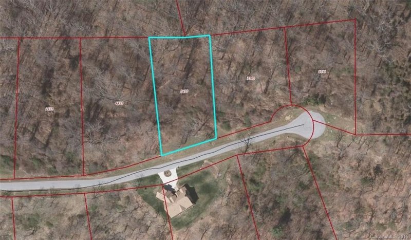 Property image 4 at 58 Longstreet Court, Weaverville, NC 28787