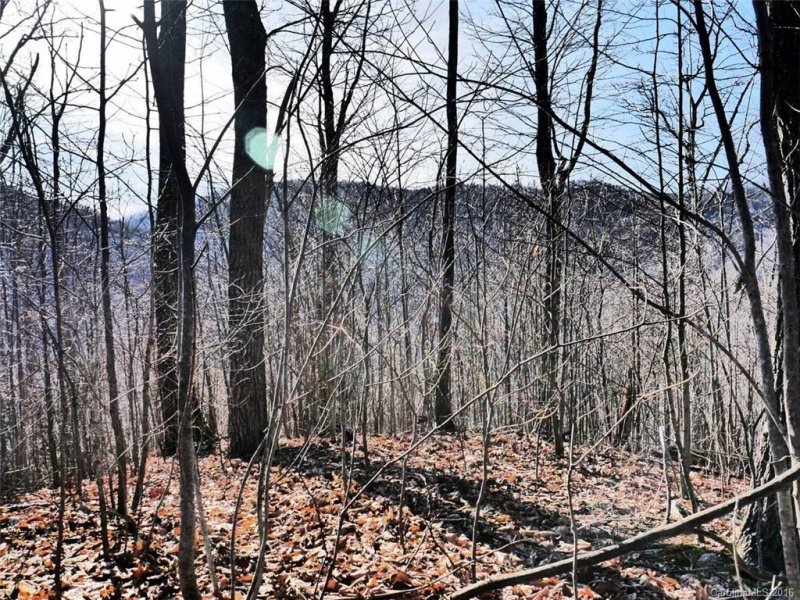 Property image 2 at 99999 Bryant Road, Swannanoa, NC 28778