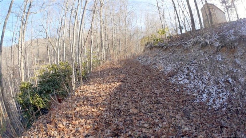 Property image 3 at 99999 Bryant Road, Swannanoa, NC 28778