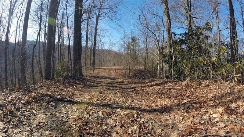 Property image 4 at 99999 Bryant Road, Swannanoa, NC 28778