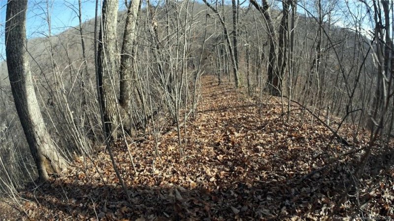 Property image 5 at 99999 Bryant Road, Swannanoa, NC 28778