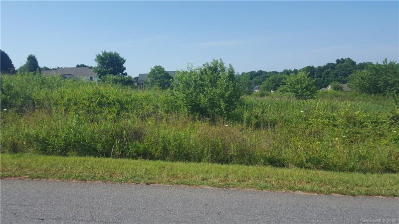 Property image 5 at Lot 24 N Eagle Drive, Lincolnton, NC 28092