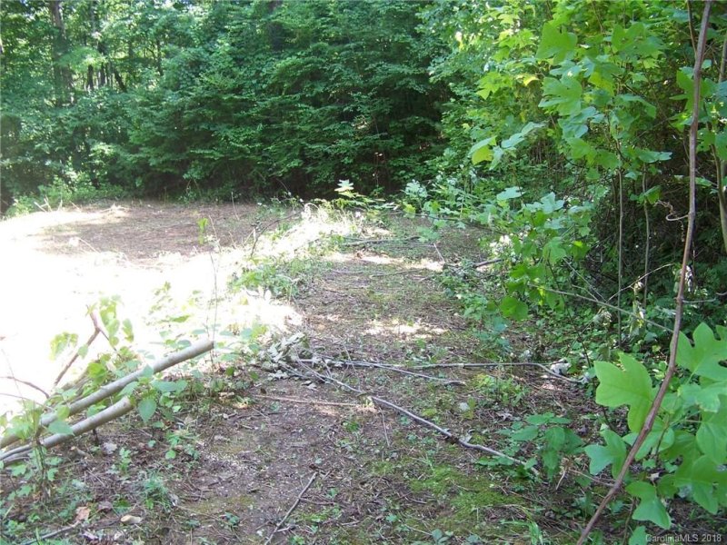 Property image 2 at 26 Appaloosa Trail, Waynesville, NC 28785