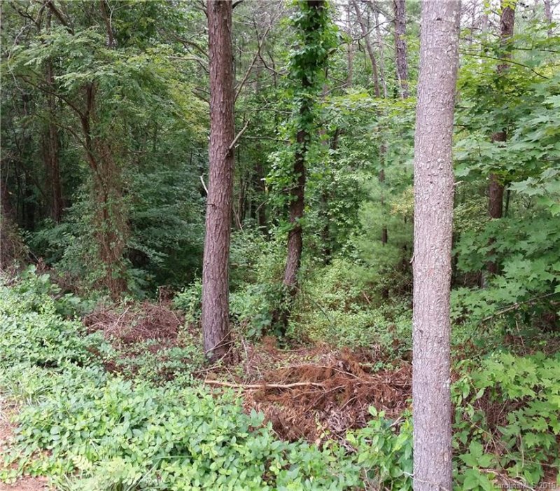 Property image 4 at Lot 3 High Country Road, Weaverville, NC 28787