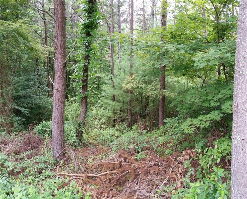 Property image 5 at Lot 3 High Country Road, Weaverville, NC 28787