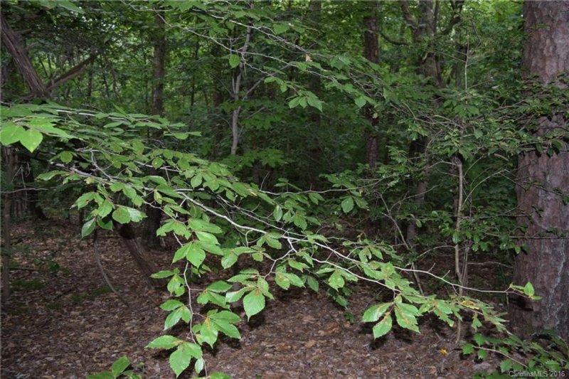 Property image 4 at 17 Cannon Court, Iron Station, NC 28080