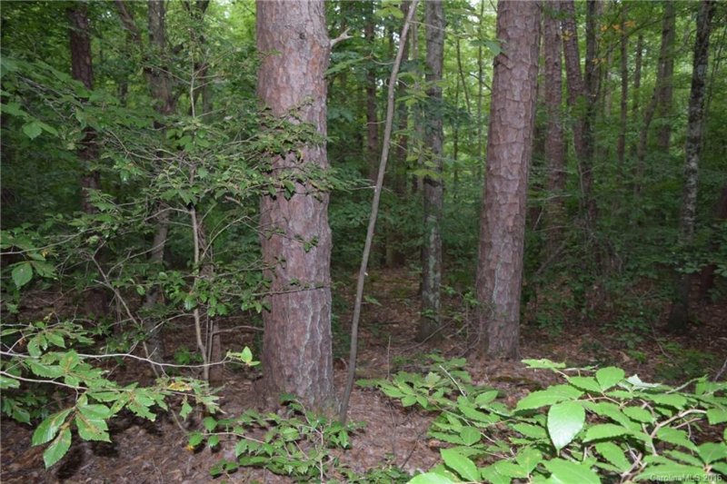 Property image 5 at 17 Cannon Court, Iron Station, NC 28080