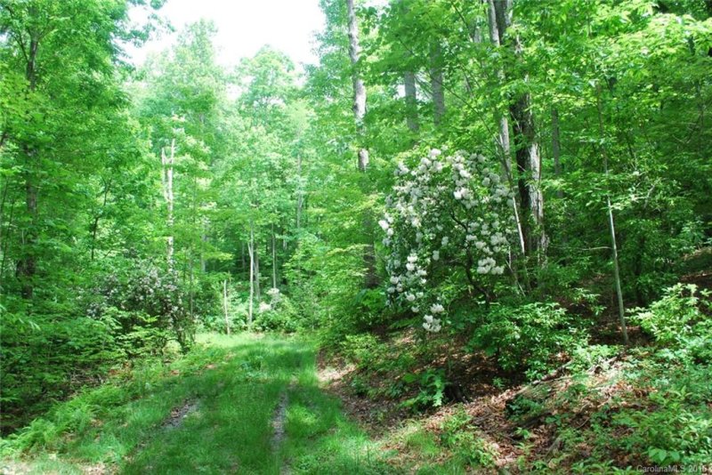 Property image 2 at Chc Reserve Road, Pisgah Forest, NC 28768