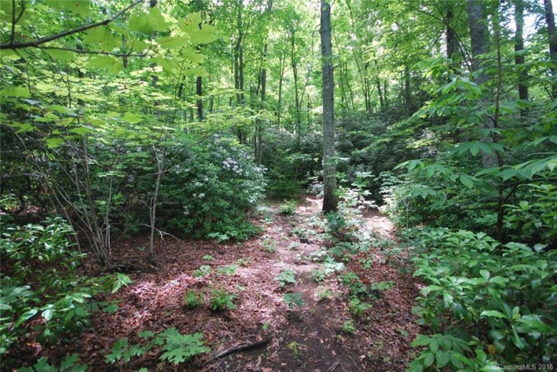 Property image 3 at Chc Reserve Road, Pisgah Forest, NC 28768