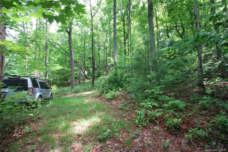 Property image 4 at Chc Reserve Road, Pisgah Forest, NC 28768