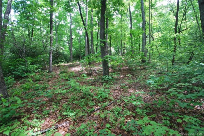 Property image 5 at Chc Reserve Road, Pisgah Forest, NC 28768