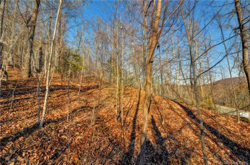 Property image 2 at 527 Overlook Park Drive, Hendersonville, NC 28792