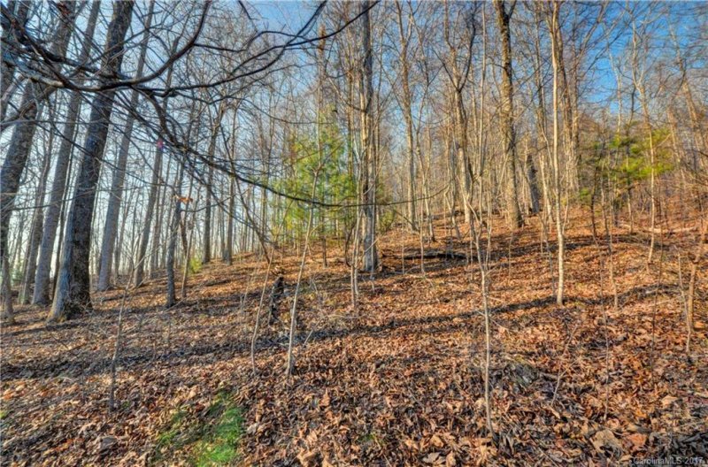 Property image 3 at 527 Overlook Park Drive, Hendersonville, NC 28792