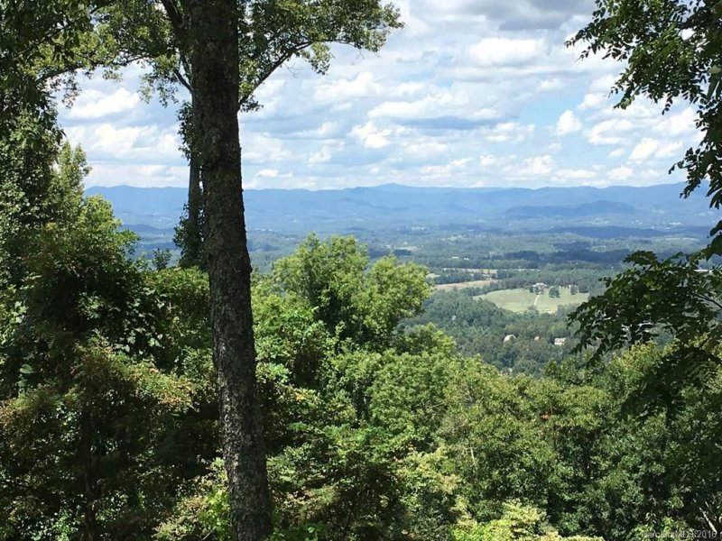 Property image 3 at 12 Longstreet Court, Weaverville, NC 28787