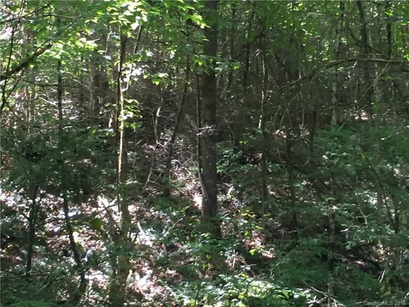 Property image 3 at Tbd 2 58 Acres Wild Iris Lane, Marshall, NC 28753