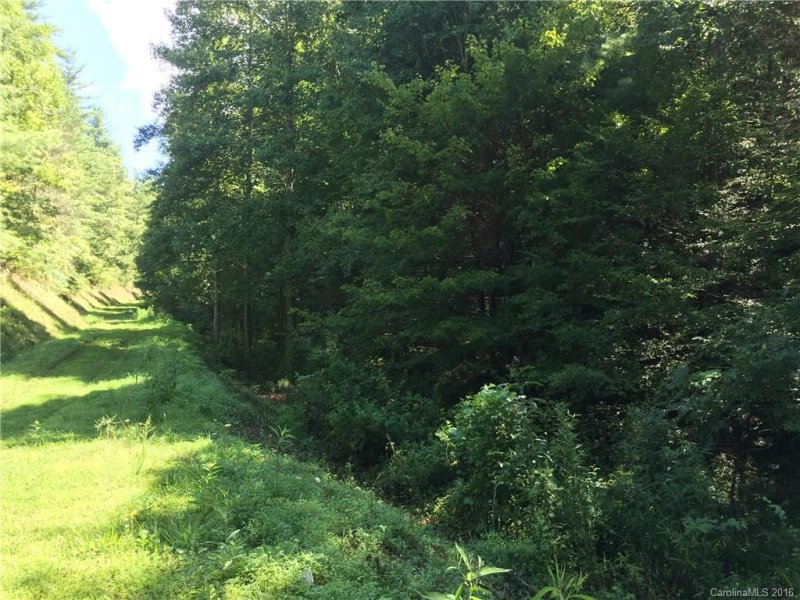 Property image 5 at Tbd 2 58 Acres Wild Iris Lane, Marshall, NC 28753