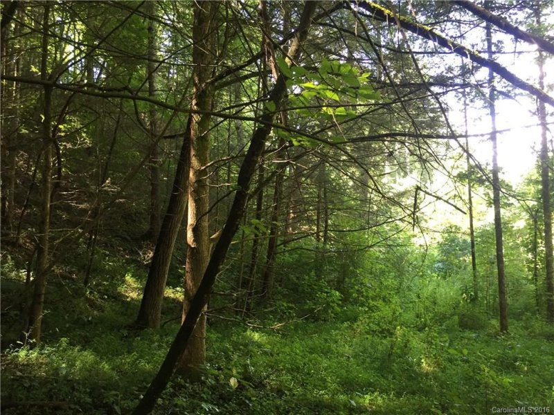 Property image 2 at 80 Wild Iris Lane, Marshall, NC 28753