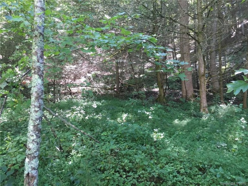 Property image 3 at 80 Wild Iris Lane, Marshall, NC 28753