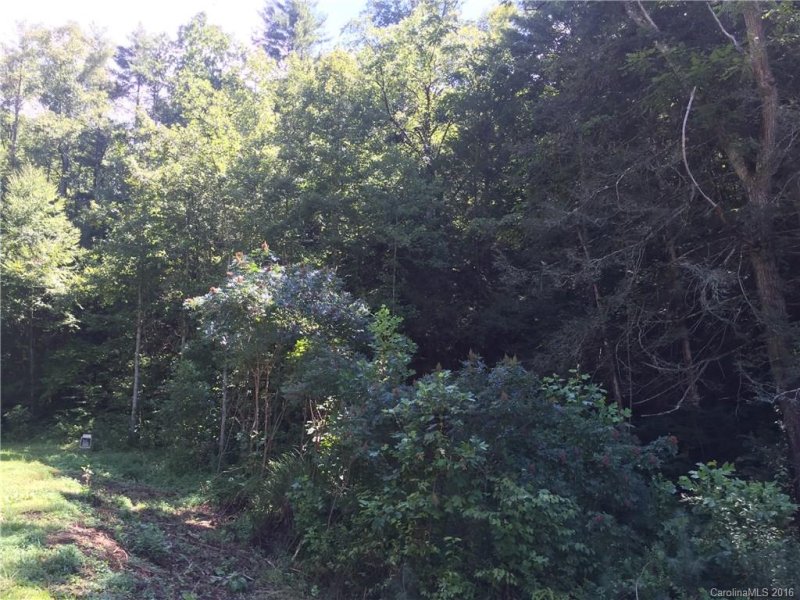 Property image 4 at 80 Wild Iris Lane, Marshall, NC 28753