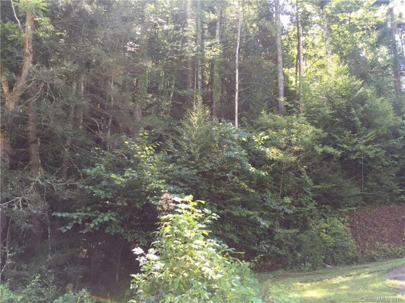 Property image 5 at 80 Wild Iris Lane, Marshall, NC 28753