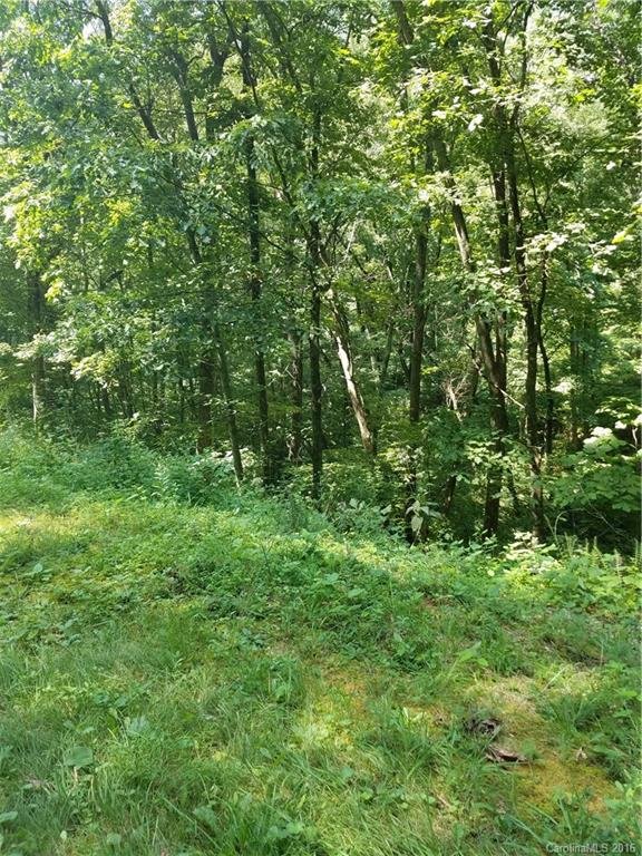 Property image 3 at 57 Dream Mountain Boulevard, Canton, NC 28716